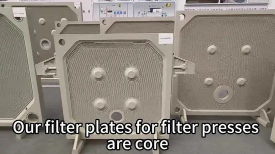 Dazhang Extreme Temperature Filter Press Plate for High Efficiency